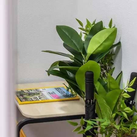 Confort Y Buena Ubicacion - Centro